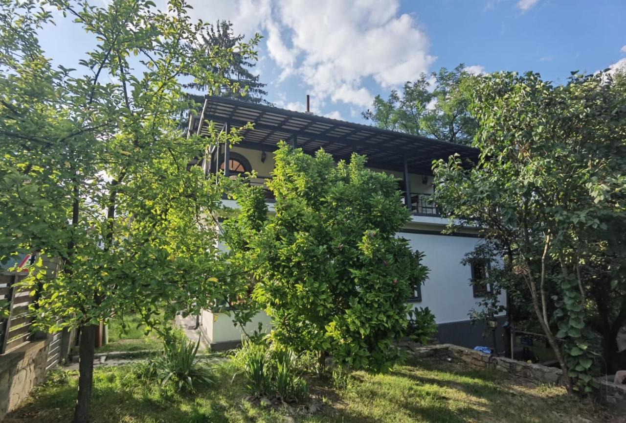 Vila Zia Corbeni Exterior foto